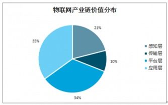 2021-2027年中國重點城市物聯(lián)網(wǎng)應(yīng)用服務(wù)行業(yè)深度調(diào)查與投資前景分析報告